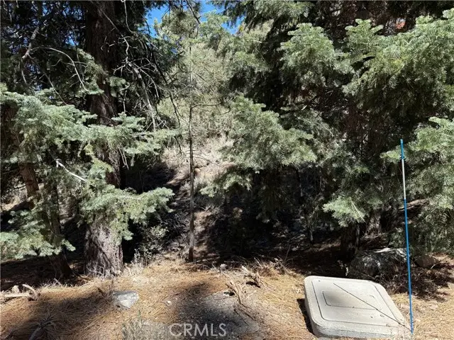 1420 Linden Drive, Pine Mountain Club, CA 93222 - Image #2