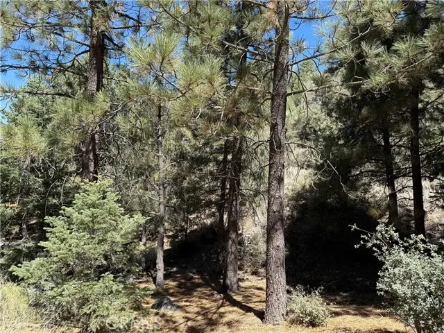1420 Linden Drive, Pine Mountain Club, CA 93222 - Image #3
