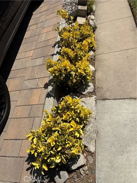 1200 Green Street, Glendale, CA 91205 - Image #3