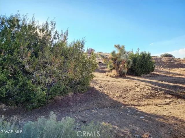 75 W Avenue D-12, Lancaster, CA 93536 - #2