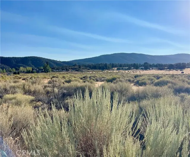 0 Steinhoff Road, Frazier Park, CA 93225 - #1