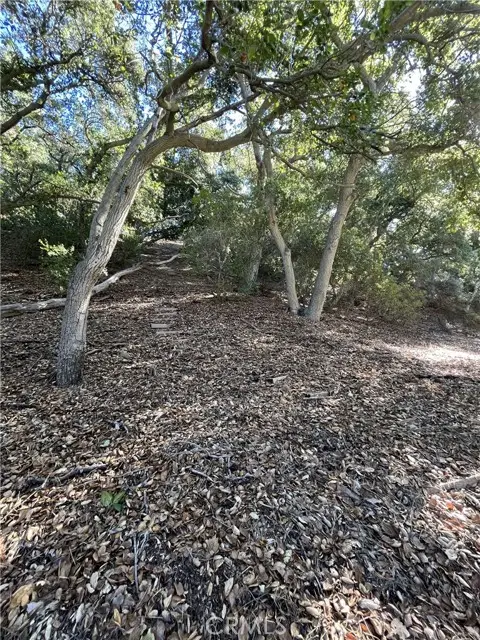 0 Old Topanga Canyon Rd, Topanga, CA 90290 - #3