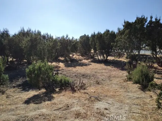 112 Agua Dulce Canyon, Santa Clarita, CA 91350 - Image #3