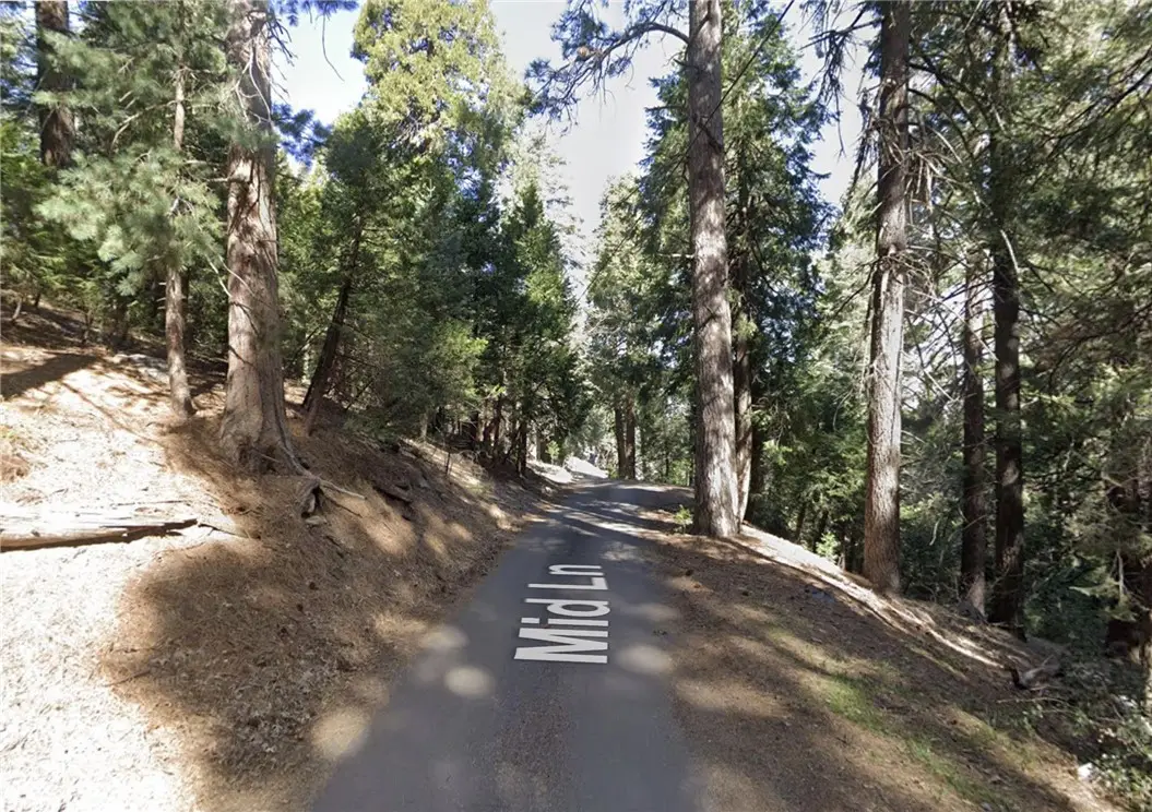 25547 Mid Ln, Twin Peaks, CA 92391 - #1