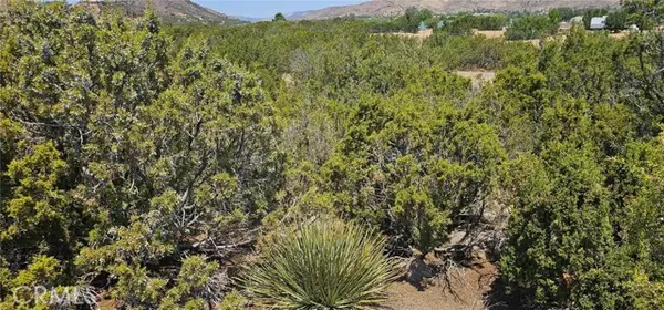 0 Easy Street, Acton, CA 93510