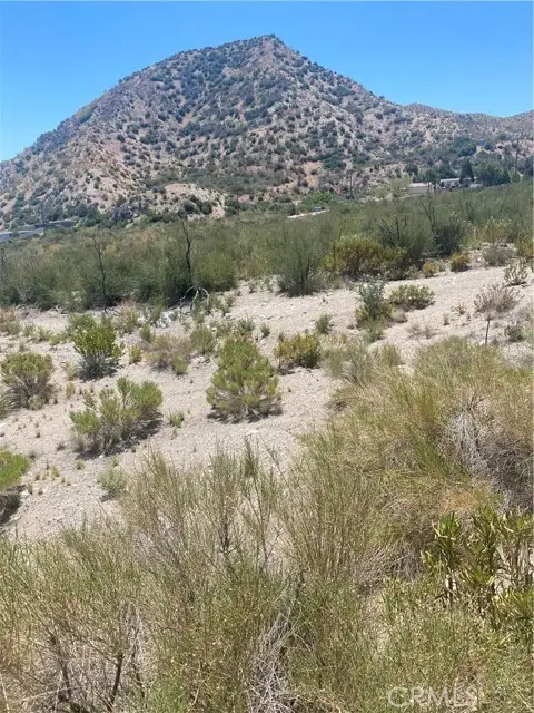 0 Farris Ranch Road, Pinon Hills, CA 92372 - Image #1