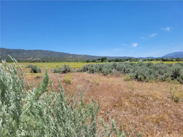 49 Bonita Vista, Anza, CA 92539 - Image #3