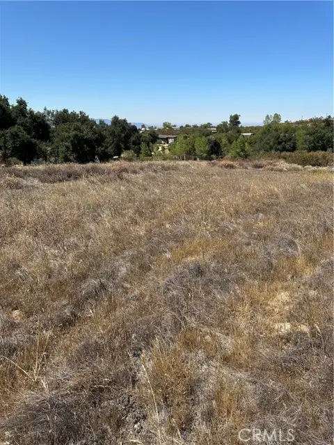 45775 Red Mountain Road, Hemet, CA 92544 - #2