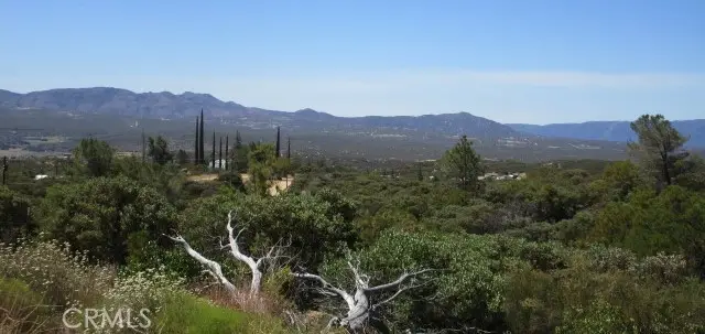 38111 Manzanita Mountain Lane, Anza, CA 92539 - Image #3