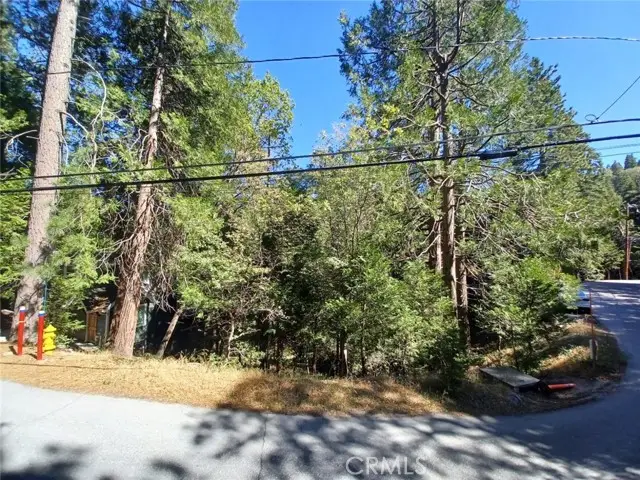 0 Club House Drive, Twin Peaks, CA 92391 - Image #2