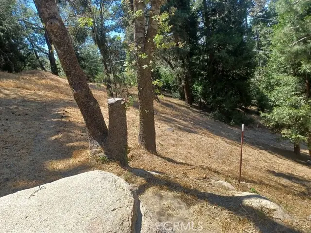 0 Pine Trail, Twin Peaks, CA 92391 - Image #1