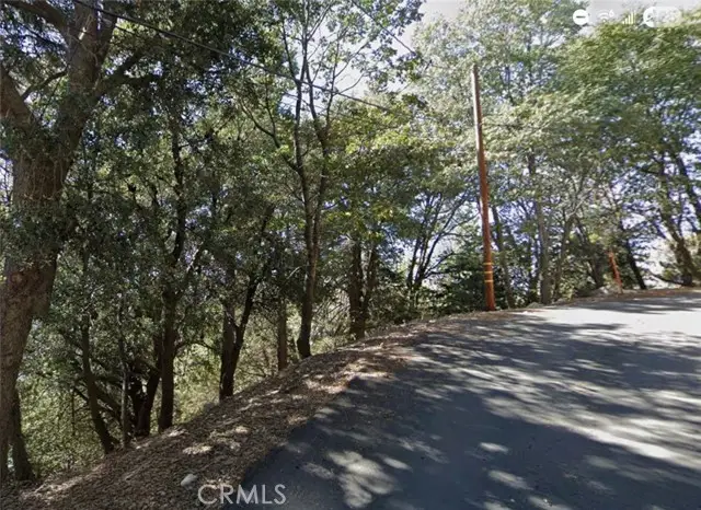 0 Lo Lane, Twin Peaks, CA 92391 - Image #2