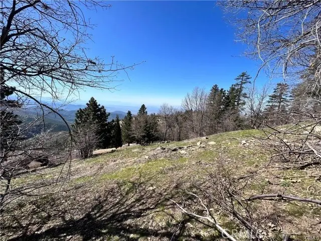 41 Fredalba Road, Running Springs, CA 92382 - #3