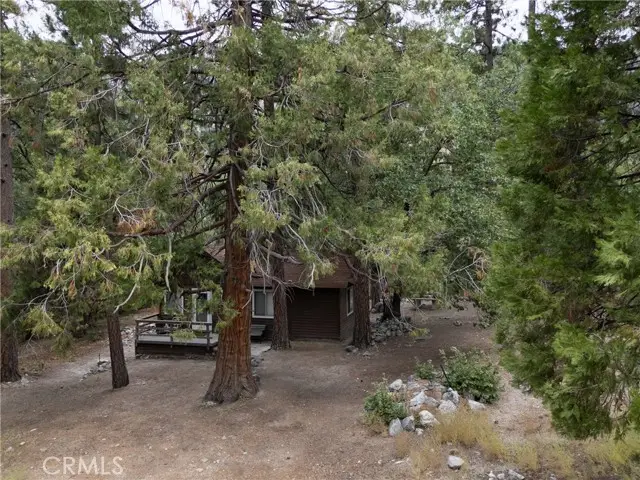 9165 Coffey Road, Forest Falls, CA 92339 - Image #2