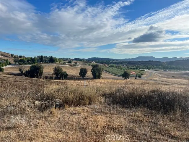 995 Via Feliz, Murrieta, CA 92562 - #3