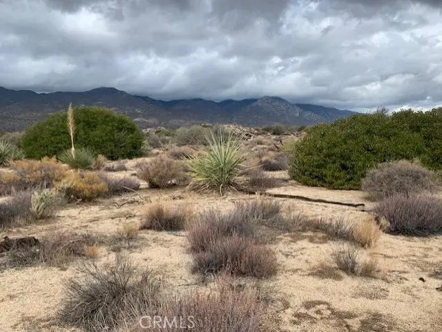 241 Paradiso Road, Mountain Center, CA 92561 - #1