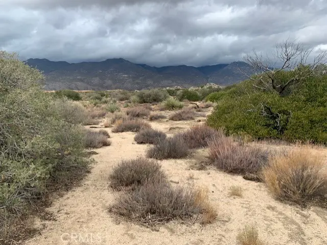 241 Paradiso Road, Mountain Center, CA 92561 - #2