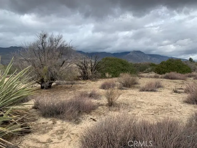 241 Paradiso Road, Mountain Center, CA 92561 - #3