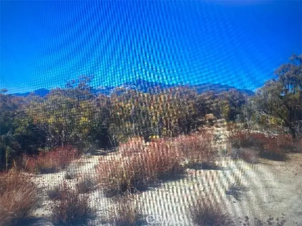 38007 Tripp Flats, Anza, CA 92539