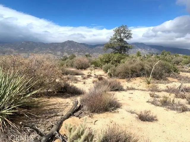 368 Palm Canyon Drive, Mountain Center, CA 92561 - #1