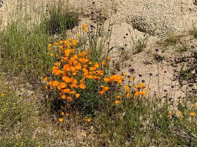 0 Inland, Aguanga, CA 92536 - #2