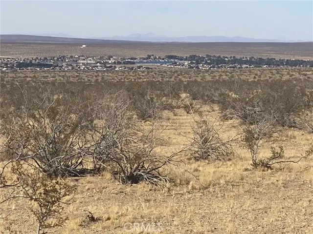 0 Delmonico Road, Oro Grande, CA 92368 - Image #3