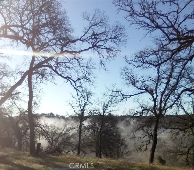 17065 Fawn Lane, Corning, CA 96021 - Image #1