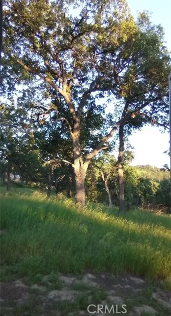 17065 Fawn Lane, Corning, CA 96021 - Image #2