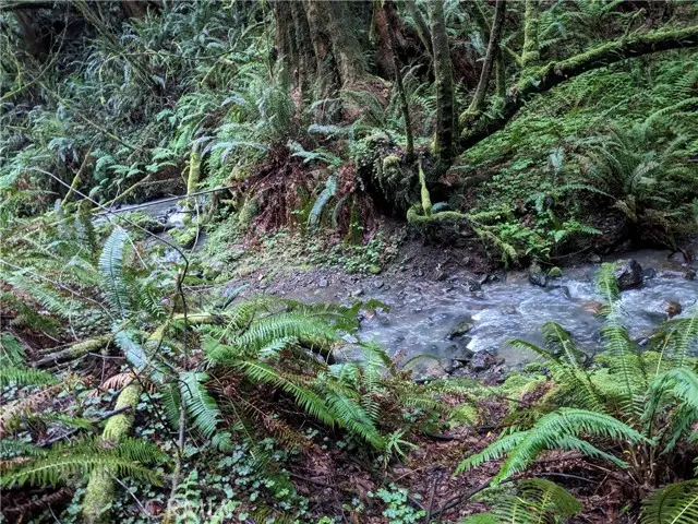 203 Pine Lane, Carlotta, CA 95528 - Image #2