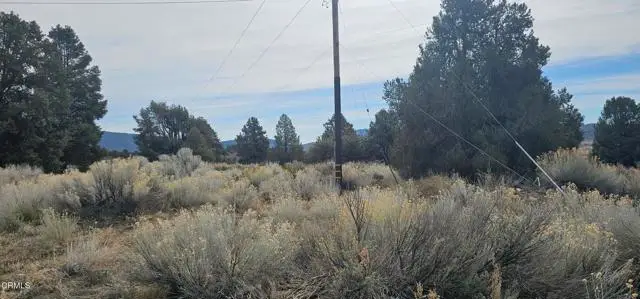 0 Boy Scout Camp Road, Frazier Park, CA 93225 - Image #3