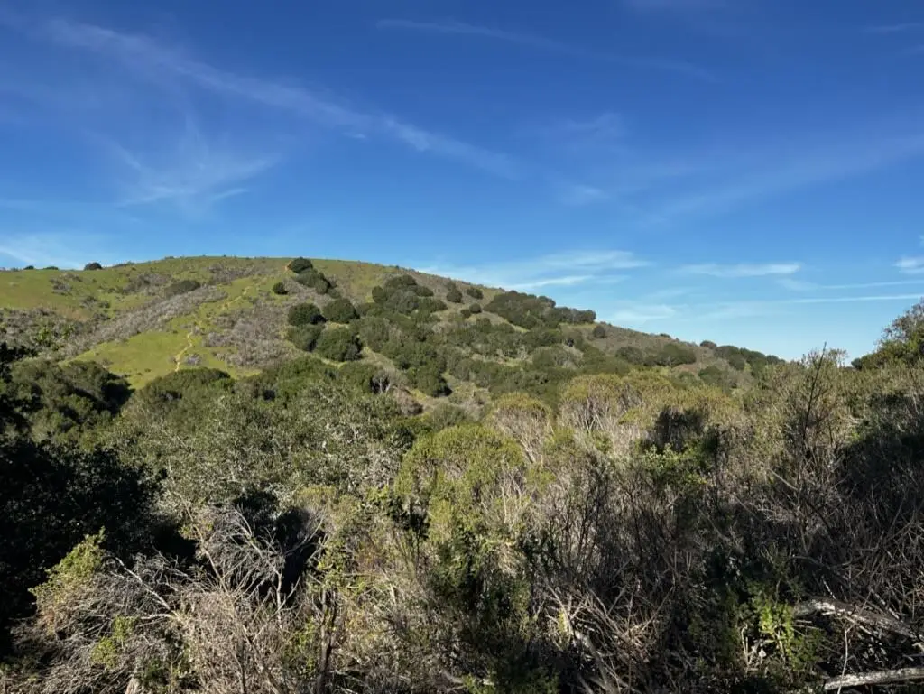 0000 Bartlett Way, Belmont, CA 94002 - Image #1