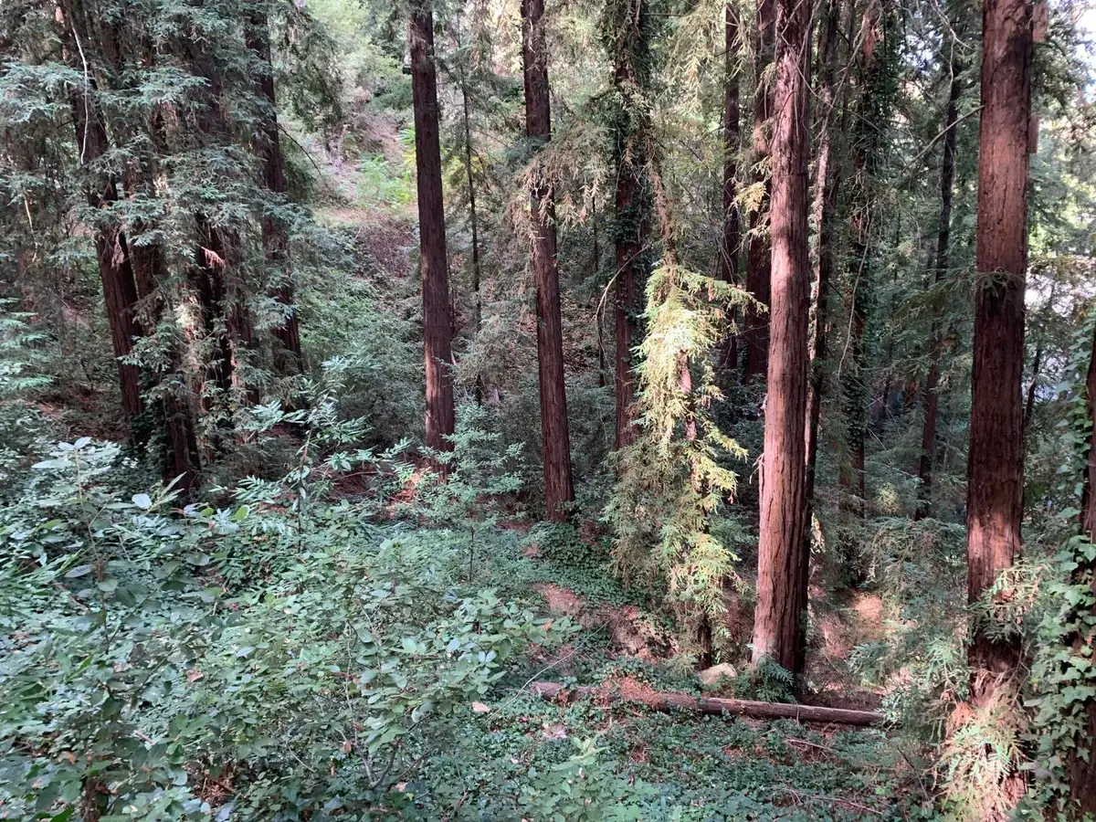 21745 Lindbergh Drive, Los Gatos, CA 95033 - Image #1