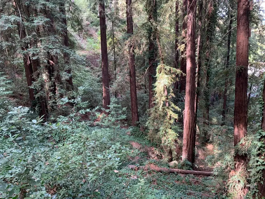 0 Helen Way, Los Gatos, CA 95033 - Image #2