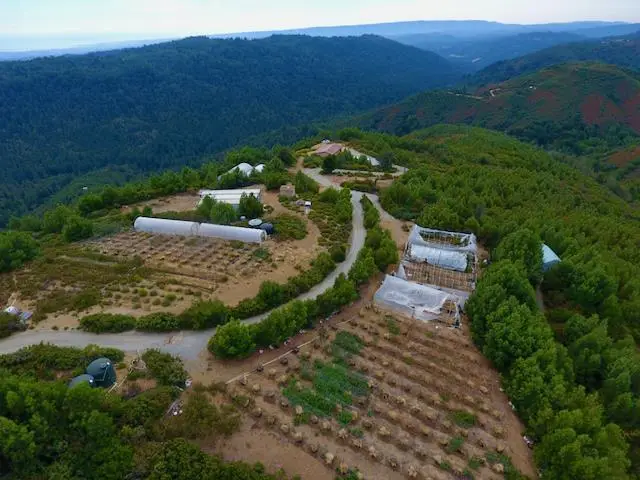 620 Maymens Flat Road, Los Gatos, CA 95033 - Image #2