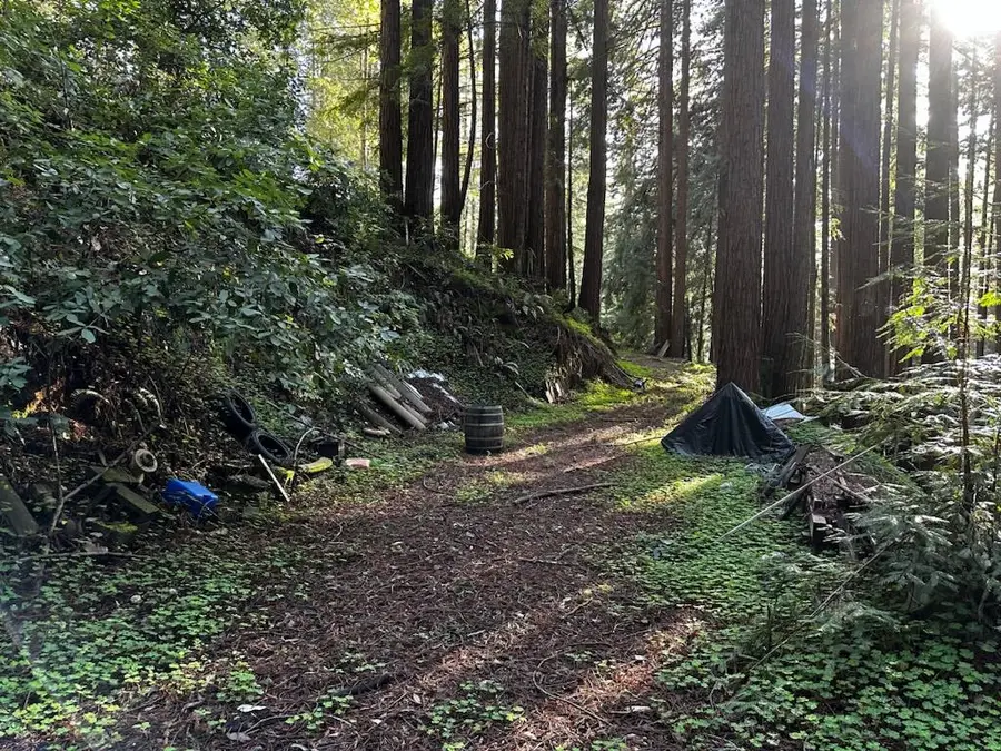 0 Warren, Santa Cruz, CA 95060 - Image #2