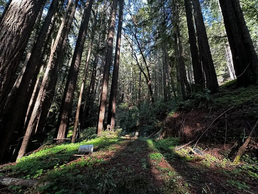 0 Warren, Santa Cruz, CA 95060 - Image #3