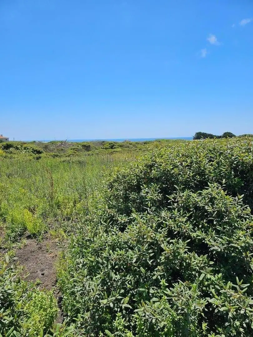 00 Vienna, Half Moon Bay, CA 94019 - Image #2