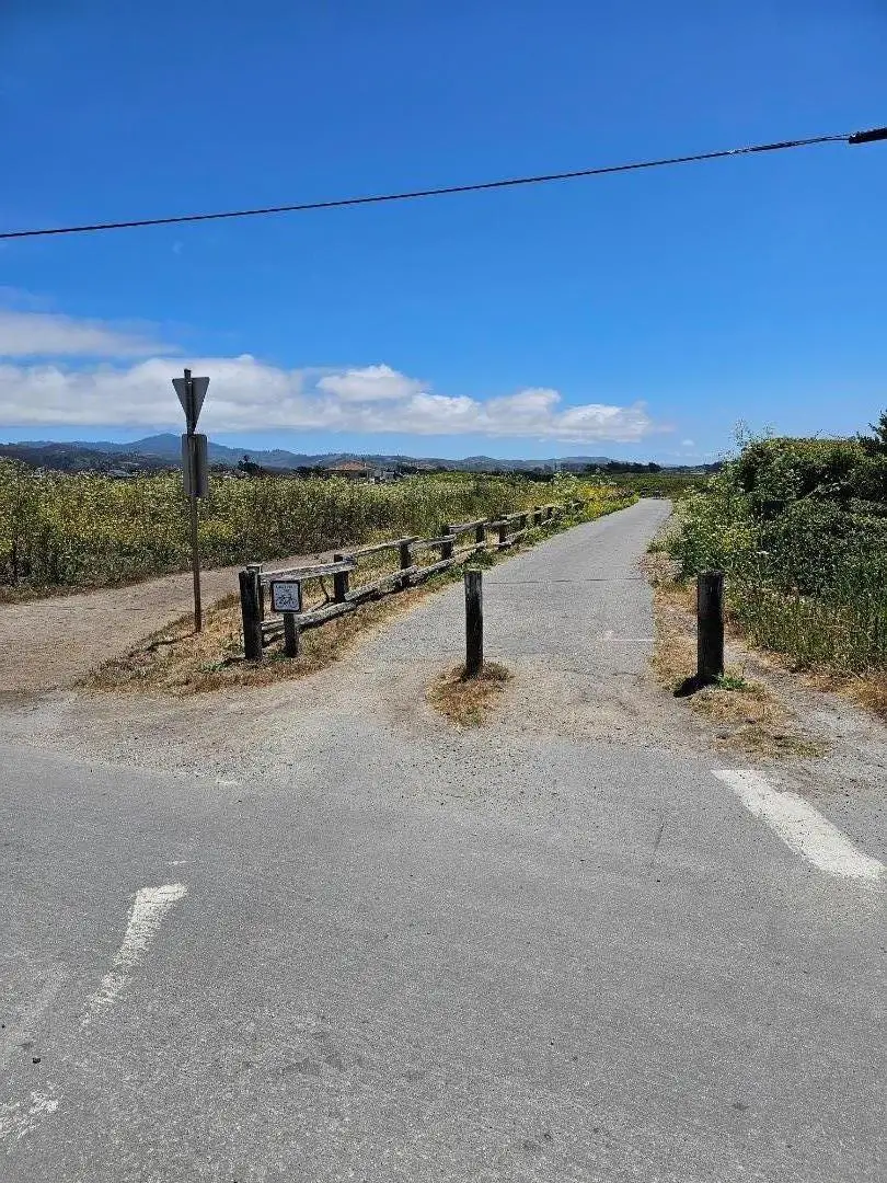 00 Vienna, Half Moon Bay, CA 94019 - Image #3