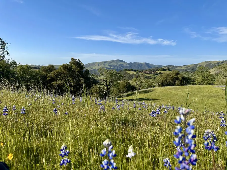 8 Touche Pass, Carmel, CA 93923 - Image #2