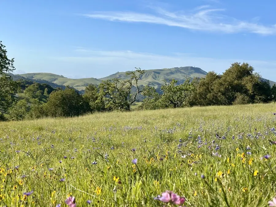 8 Touche Pass, Carmel, CA 93923 - Image #3