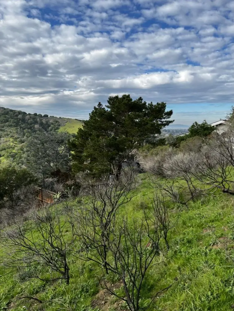 0 Alhambra Drive, Belmont, CA 94002 - #3