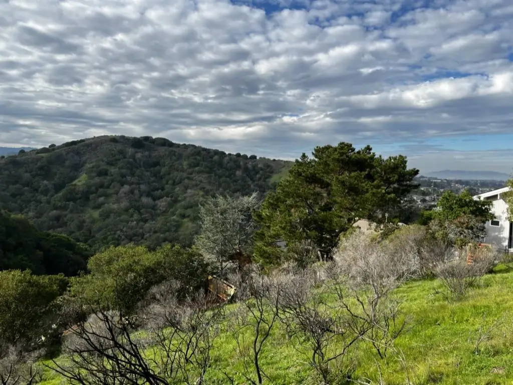 00 Alhambra Drive, Belmont, CA 94002 - Image #1