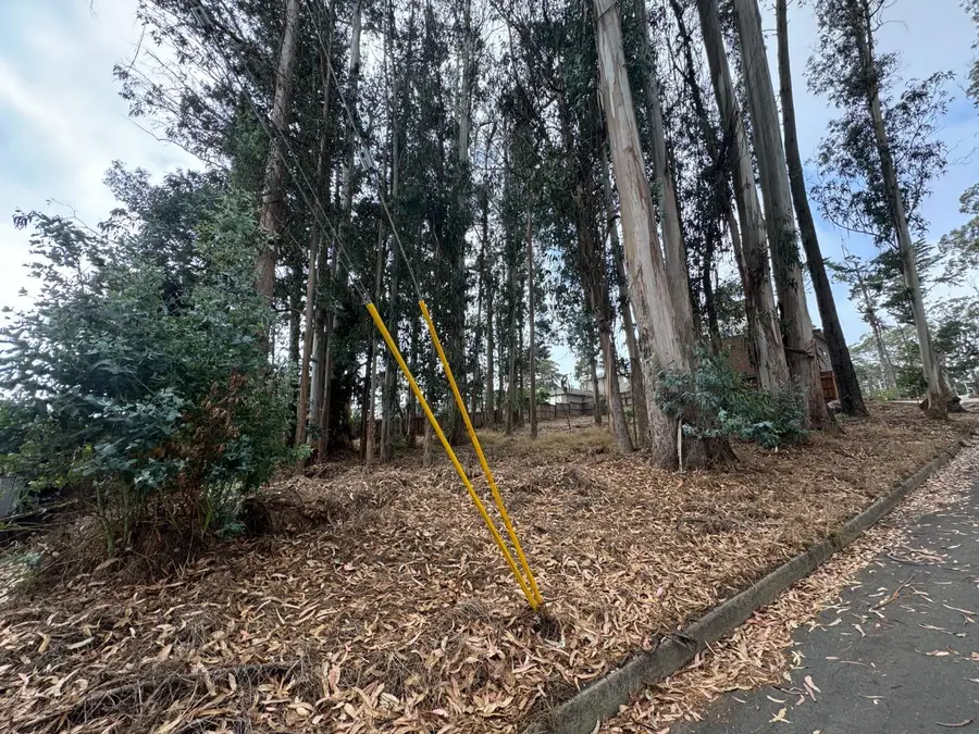 000 The Alameda, El Granada, CA 94018 - Image #3