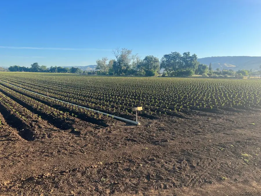 0002 Buena Vista, Gilroy, CA 95020 - Image #3