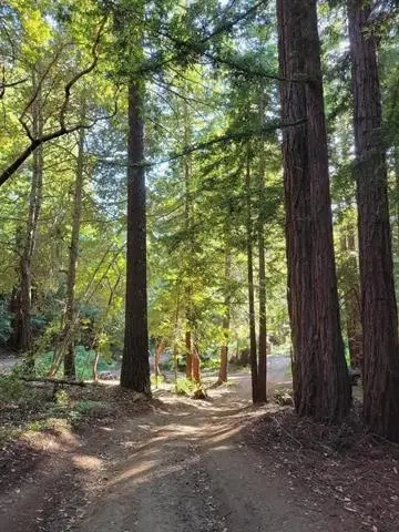 1 Skyview Road, Boulder Creek, CA 95006 - Image #2