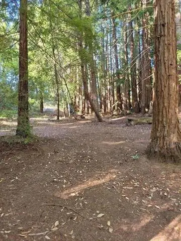 1 Skyview Road, Boulder Creek, CA 95006 - Image #3