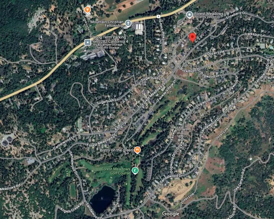 280 Forest Meadows Drive, Murphys, CA 95247 - Image #3