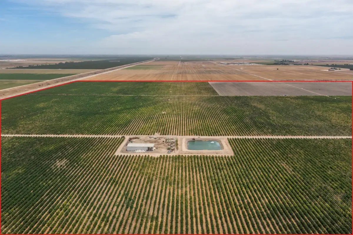 12487 Avenue 14, Madera, CA 93639 - Image #1