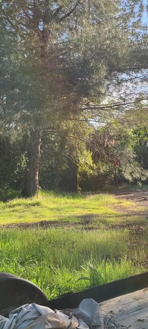 10470 Chicharra Court, Coulterville, CA 95311 - Image #1