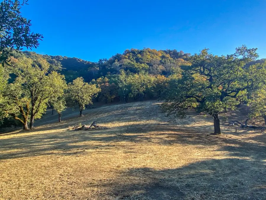 22 Arroyo Sequoia, Carmel, CA 93923 - Image #2